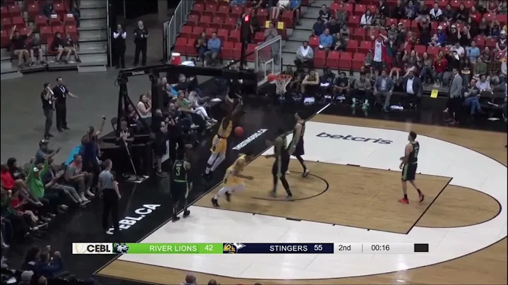 Travis Daniels Stingers Highlights