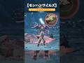 多分役立つオメガ対策3選【モンハンワイルズ】