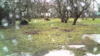 one winter day for 25 sec (Dlink DCS-2132LB1 camera) by Odissey 127 views 8 years ago 26 seconds