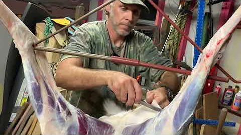 Processing Deer - Part 1:  How to Skin and Cape a Deer for Taxidermy and Butchering