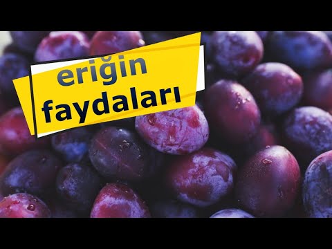 Video: Eriklerin Faydaları