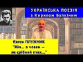 Українська поезія Є Плужник Ніч а човен як срібний птах