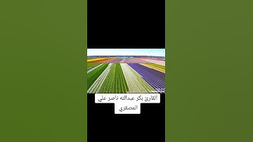 #بكر عبدالله ناصر علي المصقري قرآن كريم صوت يمني من صلاة التراويح سورة هود