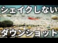 【結論】ダウンショットはシェイクしない方が釣れるしメリットだらけ【バス釣り】