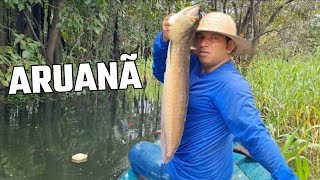 Pescando Aruanã Pacú Piranha Bodó Caráaçú de Malhadeira no IGAPÓ no AMAZONAS