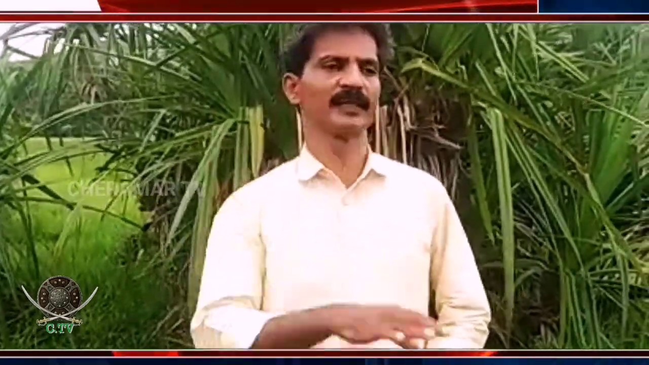 Cheramar tv Report - Payyoli . 19-05-2020 - YouTube