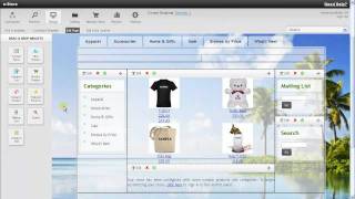Famous Adding a search widget using the iHost.net store Profile