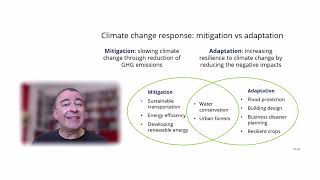 Climate change response: what is the difference between *mitigation* and *adaptation*?