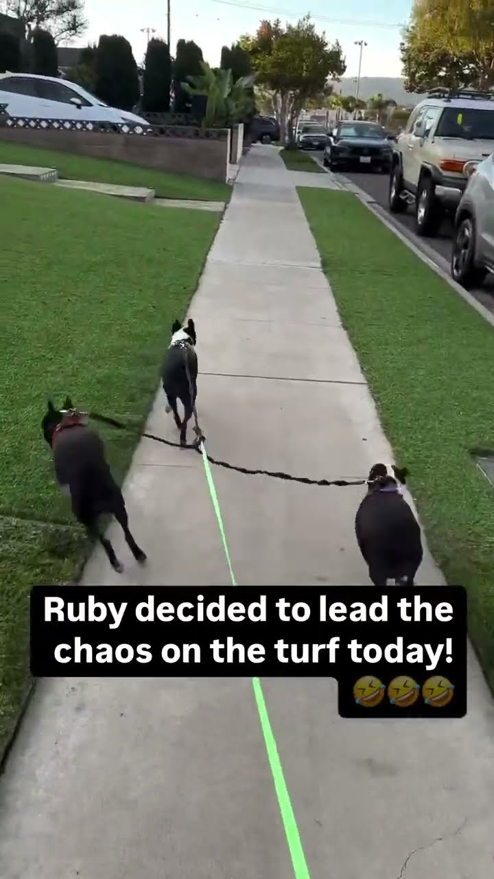 Big T Ruby and Nxcre just running round while prvnci like where y’all at mane