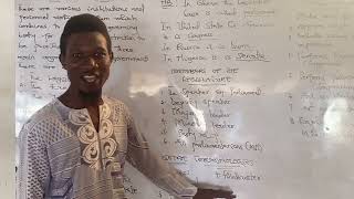Government- Organs of Government 1(wassce teaching)