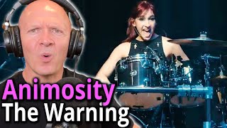 Band Teacher Reacts To The Warning Animosity