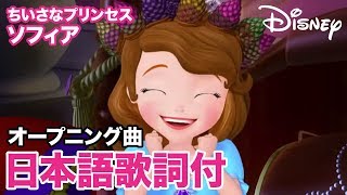 ちいさなプリンセス ソフィアの視聴動画