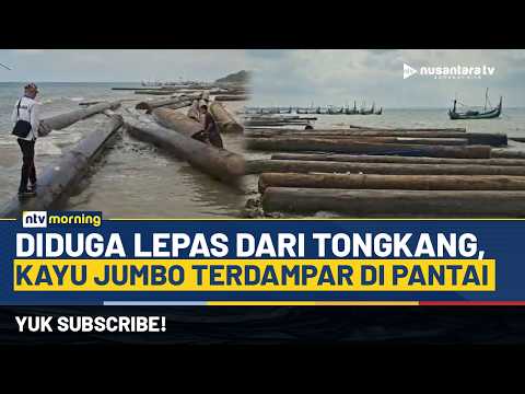Heboh! Ratusan Kayu Gelondongan Terdampar di Pesisir, Diduga Jatuh dari Tongkang | NTV MORNING