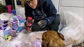 ** Dumpster Diving at ULTA & TJ MAXX/ Makeup Haul