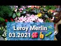 Nawilżacz Do Kwiatów Leroy Merlin