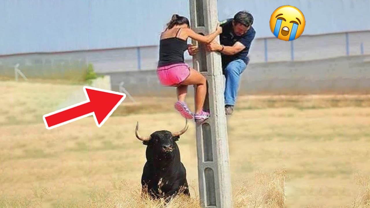 Try Not To Laugh This Will 99 Make You Laugh Best Fails YouTube