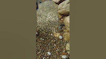 10 Minutes Relax - Small ripples in the sea from the water stream coming from beach rocks #shorts