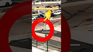 A Viewer Randomly Pulled Up Then Did This