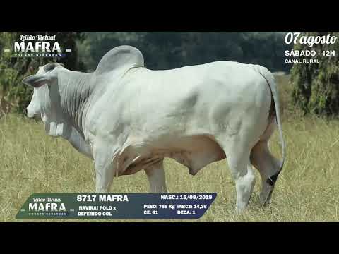 LOTE 37   MFRA 8717