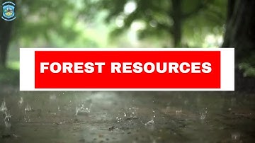 SUBJECT - EVS, TOPIC - FOREST RESOURCES