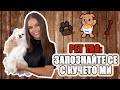 PET TAG: ЗАПОЗНАЙТЕ СЕ С КУЧЕТО МИ! | ♡