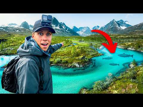 We found a river full of BIG salmon & trout!!!🇳🇴