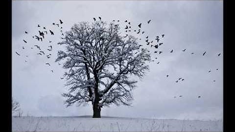 الشيخ علاء المزجاجي - سوره فاطر