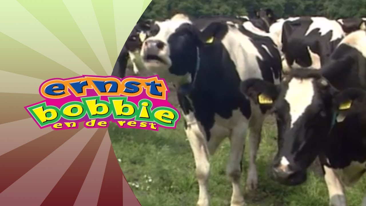Koeien Melken • Avonturen Op de Boerderij • Ernst en Bobbie - YouTube