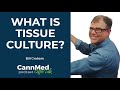 What is tissue culture  bill graham