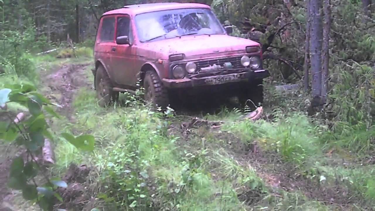 Скад тайга нива