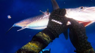 Spearfishing Australia - The Great Barrier Reef (2020)