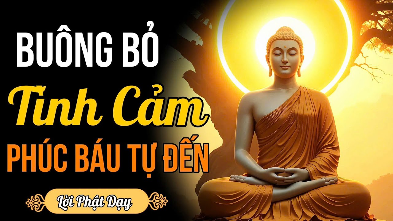 10 Cách Buông Bỏ Tình Cảm Đúng Cách - 3 Dấu Hiệu Phúc Báu Hiện Trên Khuôn Mặt.