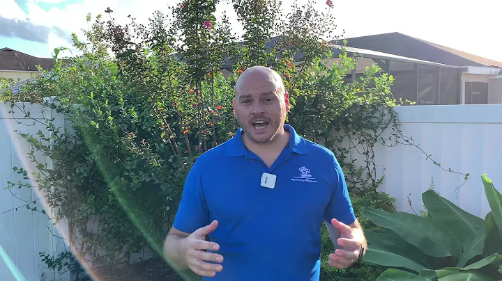 Meet Dr. Philip from Synchrony Chiropractic