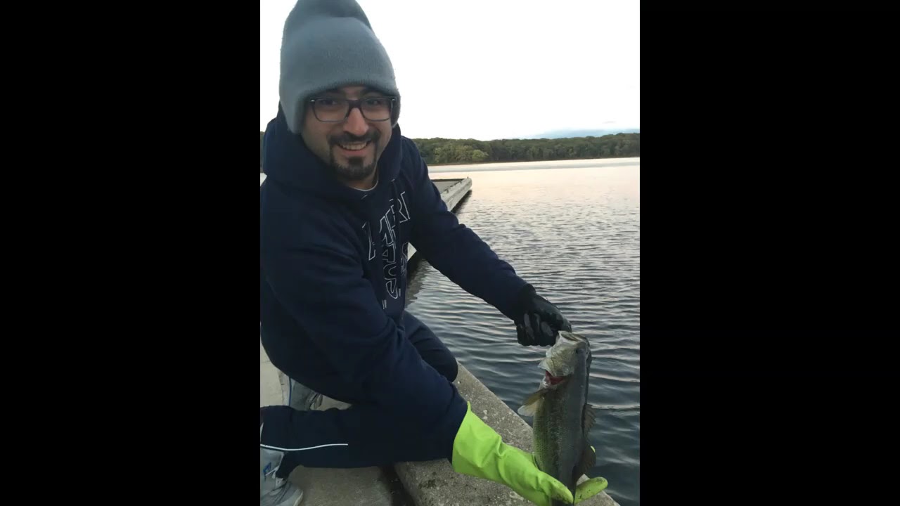 Fishing species in cook county Illinois