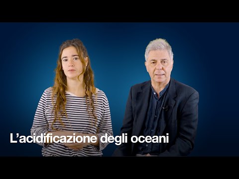 Video: Quali sono le possibili cause di una regressione marina?