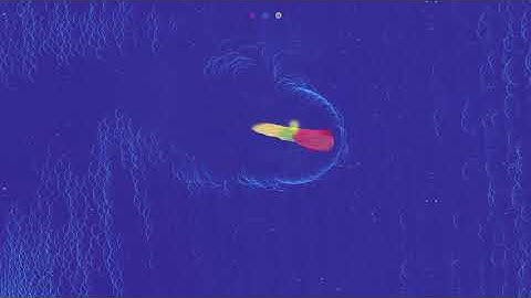 Lifelike: Chapter One. Level 16. Walkthrough. [Apple Arcade]