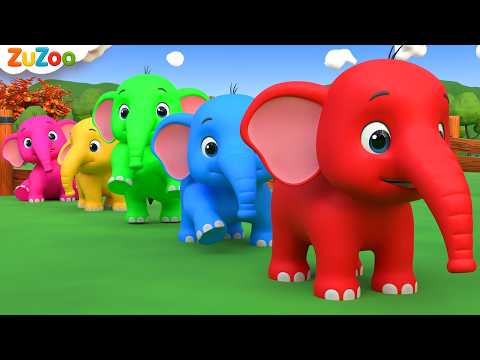Five Little Elephants 🐘 | Learn Colors 🌈 | Baby Elephant Song | ZuZoo Nursery Rhymes & Kids Songs