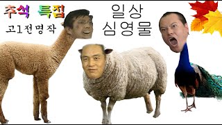 월수의 초심은 이랬다