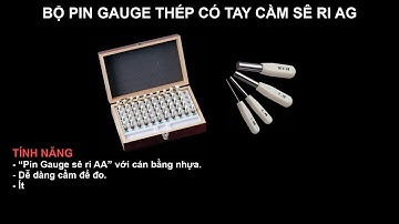 BỘ PIN GAUGE THÉP CÓ TAY CẦM SÊ RI AG NIIGATA SEIKI