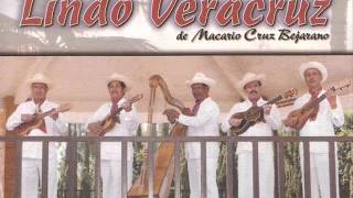 &quot;El Toro&quot; - Conjunto Jarocho Lindo Veracruz