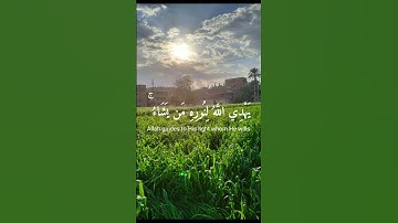 نور علي نور يهدي الله لنوره من يشاء بغير حساب [الشيخ: شريف مصطفي ] (سورة النور)