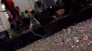 Bearded Iris - Paddock Bash 2014