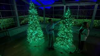 Santa's Best Alberta Spruce Starry Light WRGB Christmas Tree on QVC