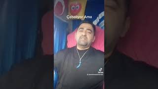 Çabalıyolar Ama Üzemiyolar Resimi