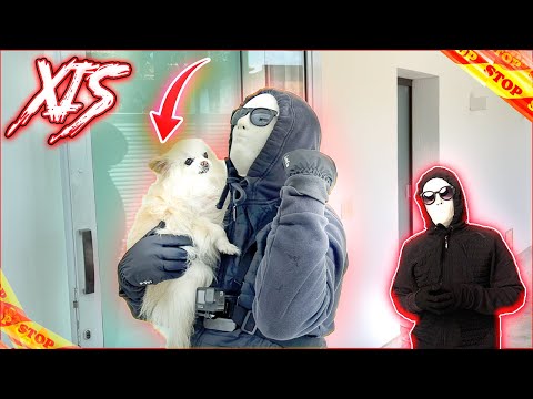 O XIS ELIMINOU A SANDY E MAIS UM DETETIVE !!! (O JOGO 6 PART 34)