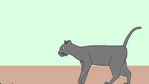 FOUR LEGGED WALK CYCLE | CHRISTOPHER PARKINS