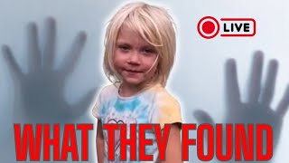 SUMMER WELLS | MISSING CHILD WHAT THEY FOUND