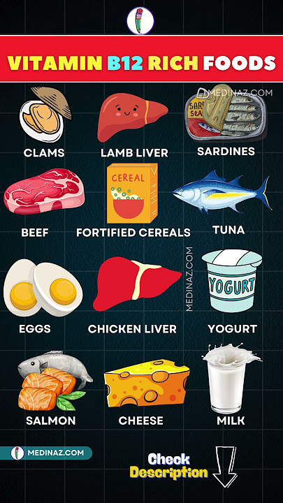 Top 12 Vitamin B12 Rich Foods for Energy and Health | Sources of Vitamin B12 #nutrition #shorts