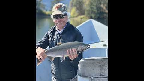 sediment dam removal video