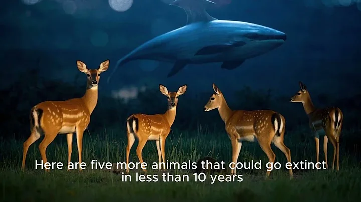 Animals Going Extinct in 2030 #scarystory